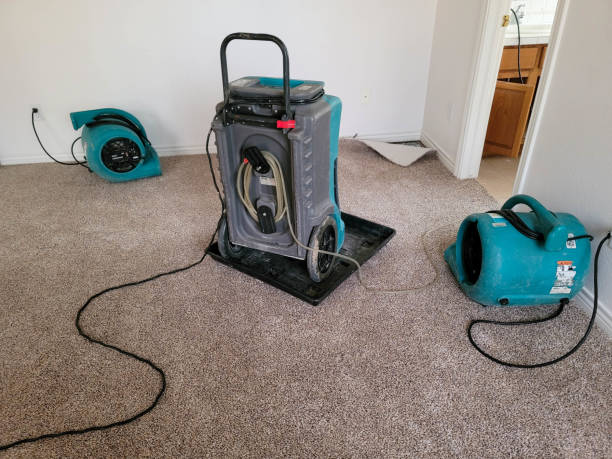  Shoreview, MN Water damage restoration Pros