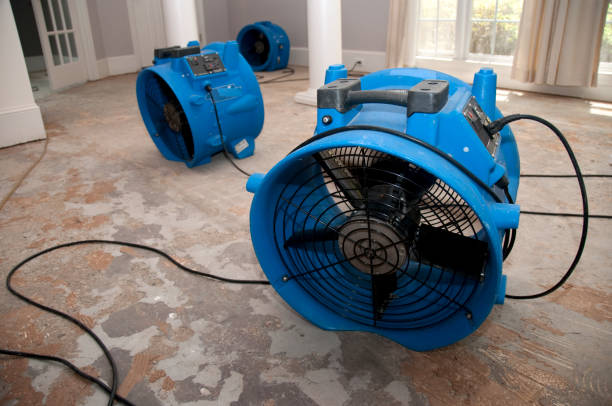 Best Emergency water damage restoration  in Shoreview, MN