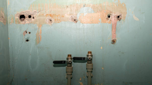 Water damage restoration insurance claims in MN