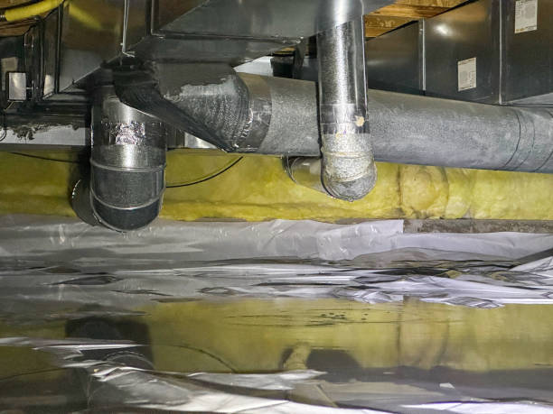 Best 24-hour water damage restoration  in Shoreview, MN