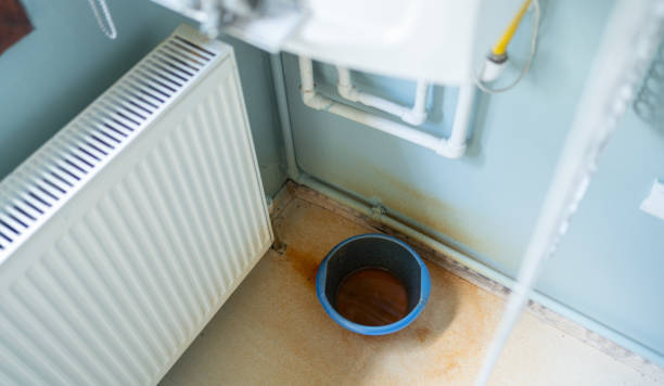 Best Water damage restoration specialists  in Shoreview, MN