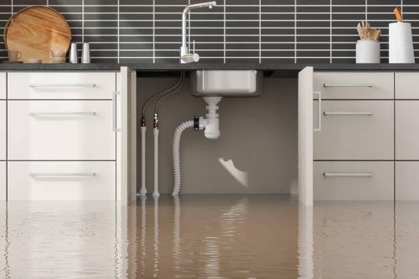 Best Flood damage cleanup  in Shoreview, MN
