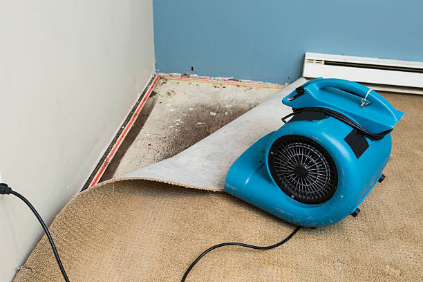 Best Flood damage cleanup  in Shoreview, MN